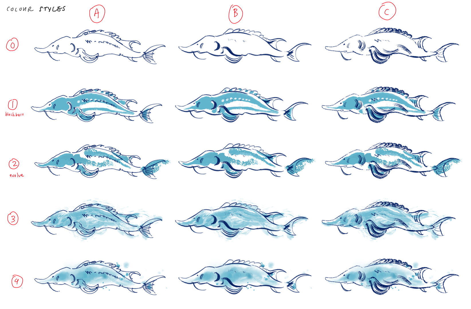 homa homa