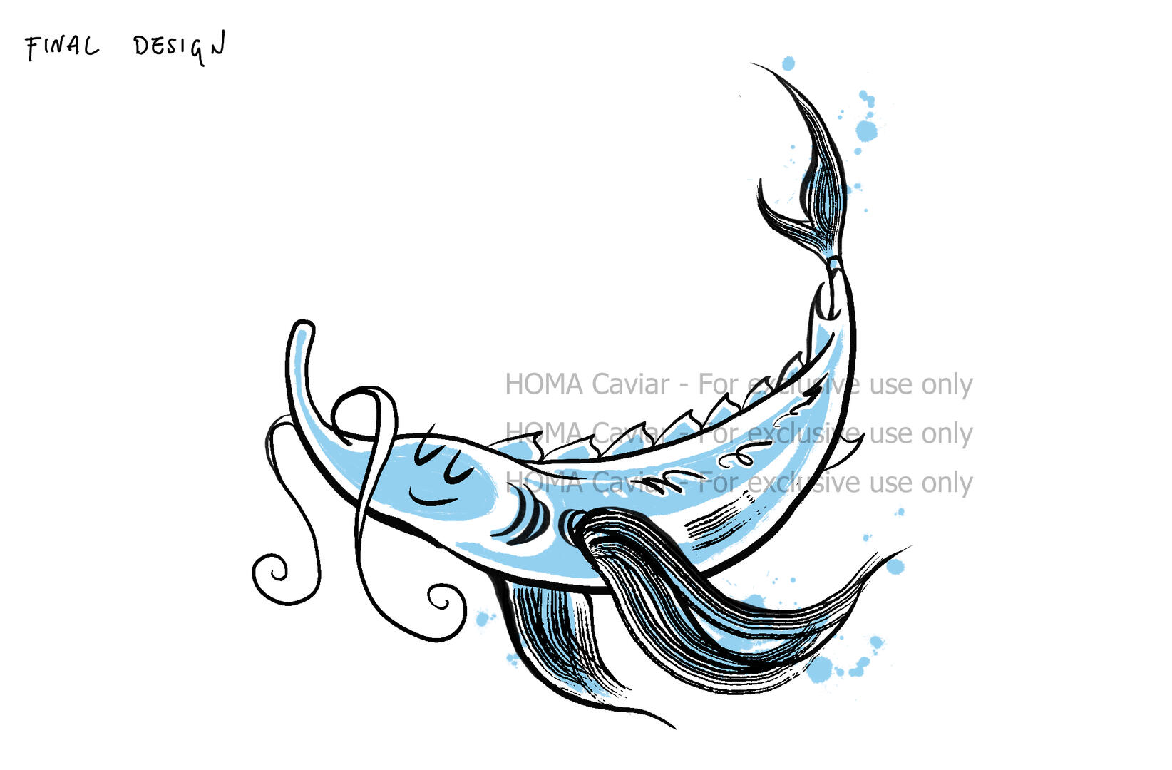 homa homa
